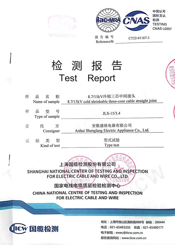 產(chǎn)品檢測報告2